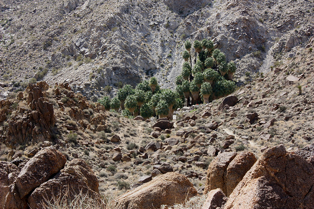 17517152448_2543566024_z